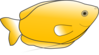 Yellow Gourami Clip Art